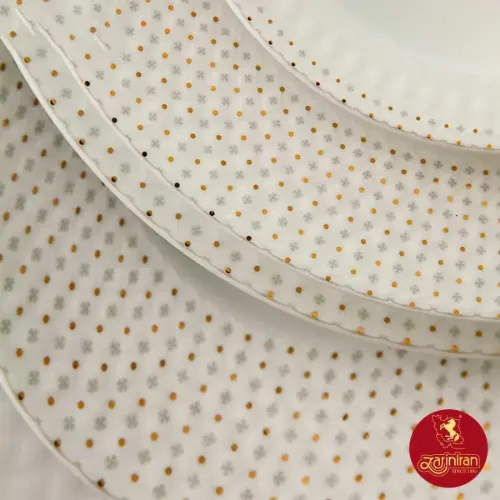 سرویس چینی زرین رادیانس طرح لیون 6 نفره 28 پارچه