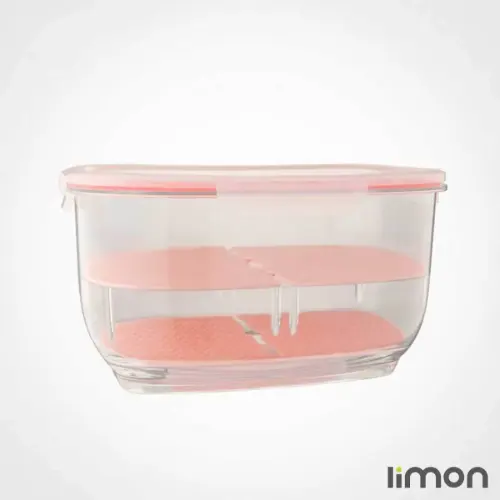 باکس میوه بزرگ لیمون