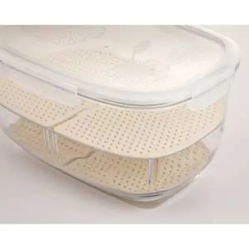 باکس میوه بزرگ لیمون