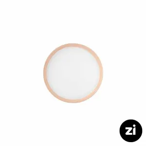 بشقاب تخت چینی زرین فرم اس پاستل گلبهی سایز 15