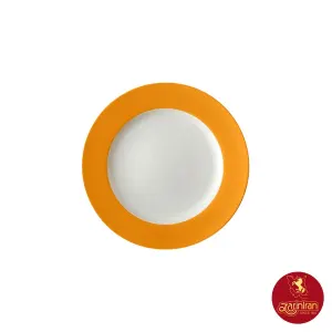 بشقاب تخت چینی زرین سایز 16 طرح نارنج 6 عددی