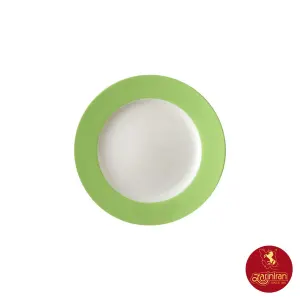 بشقاب تخت چینی زرین سایز 16 طرح پسته 6 عددی