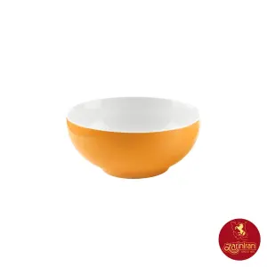 پیاله چینی زرین ایتالیا اف سایز 16 طرح نارنج 2 عددی