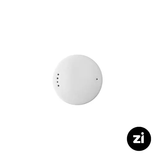 نمک پاش چینی زرین zi فرم اس طرح ریچل