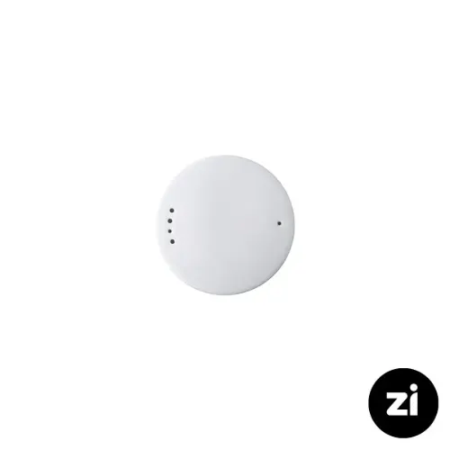 نمک پاش چینی زرین zi فرم اس طرح روشان