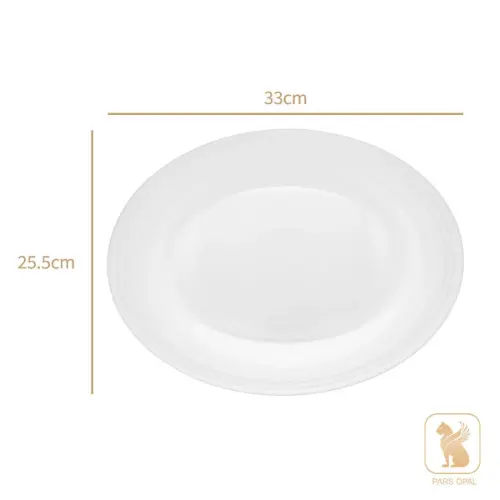 دیس بیضی هتلی پارس اپال 1010