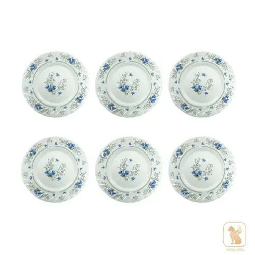 بشقاب تخت 250 پارس اپال طرح رمانتیک کد 120