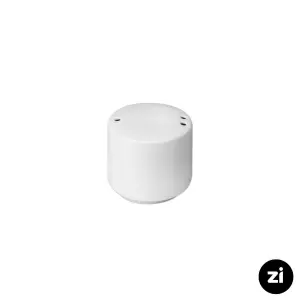 سماق پاش چینی زرین Zi فرم اس