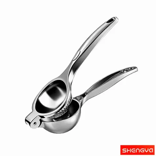 آبلیمو گیری E 2843