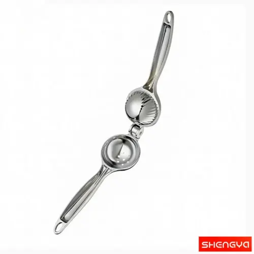 آبلیمو گیری استیل