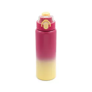 فلاسک آب ورزشی داخل استیل 800 میلی لیتر کد FL-1015-800