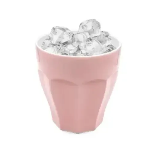 خرید فلاسک 450 میلی لیتر کد LD-BW 8559