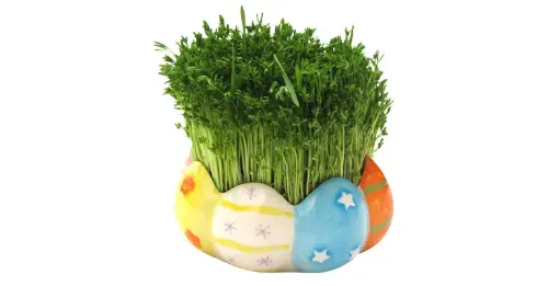 شیکر شارژی نینجا