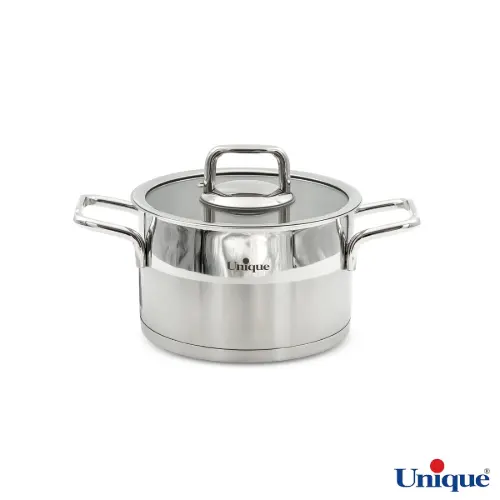 خرید اقساط اتو بخارگر میگل قیمت مناسب