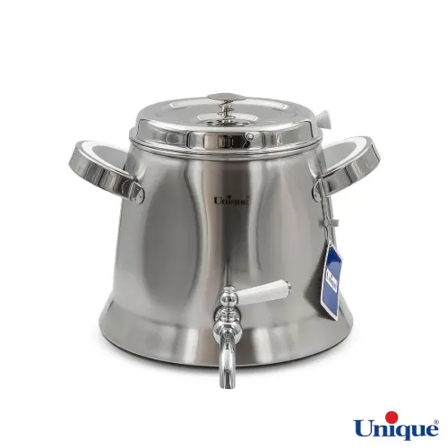 اتو بخارگر میگل با طراحی شیک