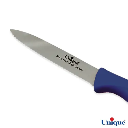 یخچال و فریزر ساید بای ساید 19 فوت پاکشوما چهار درب