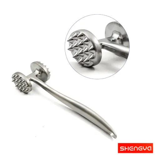 بیفتک کوب شنگیا