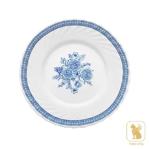 بشقاب تخت 250 آوان پارس اپال کد 144