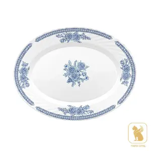 دیس بیضی 1010 آوان پارس اپال کد 144