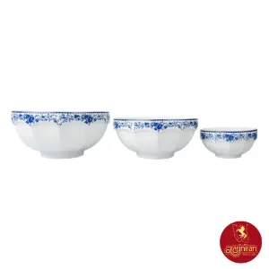 سرویس پیاله فلورنتیا چینی زرین نئوکلاسیک 13 پارچه