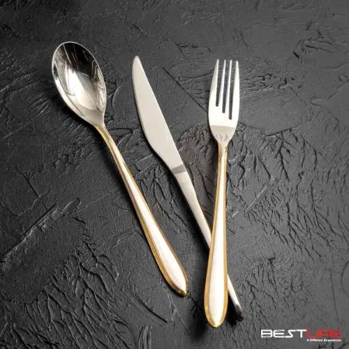 قاشق 6 عددی بست لایف