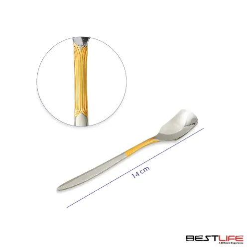 قاشق بستنی خوری 6 عددی بست لایف